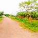 Purbachal 5 Katha Plot Sale Sector-15 , Residential Plot images 
