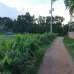 Fresh Land for making home or established industry., Residential Plot images 