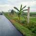5 Katha Land (Residential/ Commercial), Commercial Plot images 