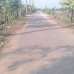 nijosso jomin, Agriculture/Farm Land images 