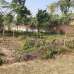 Fresh land, Residential Plot images 