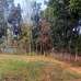 15 katha land, Residential Plot images 