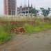 N-Block Basundhara 5Katha Plot for Sell, Residential Plot images 