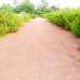 3 Katha Sell, South Facing, 60 Fit Road, Sector 15/B, Residential Plot images 