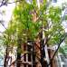 Jams Sun Splash , Apartment/Flats images 