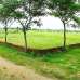 Buy your ready plot besides Basila adjacent 120' Highway road , Residential Plot images 