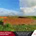Red Bricks Property Solution, Residential Plot images 