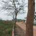 Rahat & Rafit Real Estate Ltd., Residential Plot images 