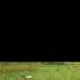 land, Residential Plot images 