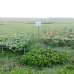 Arison Ratan Nagar, Residential Plot images 