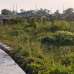 Purbachal Land Sec-23, Residential Plot images 