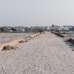 Modhu City 2, Residential Plot images 