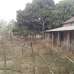 Urgent Land Sell @ Gazipur Union, Sheepur, Residential Plot images 
