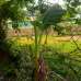 land for sale by road 166 decimal, Commercial Plot images 
