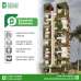 Barakah Rahman, Apartment/Flats images 