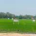 Amin City,Purbachal, Residential Plot images 