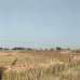4 Katha South facing Plot , Residential Plot images 