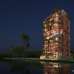 TM Syed Bari, Apartment/Flats images 
