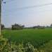 57.75 Decimal industrial land , Residential Plot images 