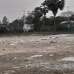 5.5 bigha for rent, Commercial Plot images 