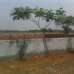 South Facing Ready Plot for URGENT Sale , Residential Plot images 