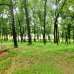 Protik Gazipur Masterbari , Commercial Plot images 