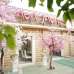 ওয়ান্ডারল্যান্ড অ্যামিউজমেন্ট পার্ক, Showroom/Shop/Restaurant images 