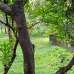 Protik Gazipur Masterbari, Commercial Plot images 