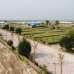Purbachal Probashi Palli Project. , Commercial Plot images 